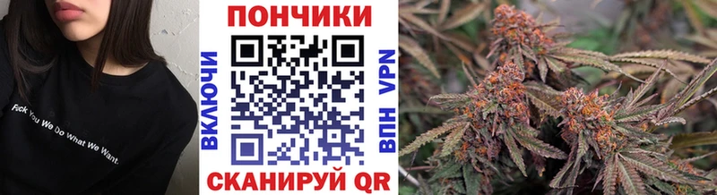 Где найти наркотики Советск Канабис  Cocaine  ГАШИШ  Alpha-PVP  Галлюциногенные грибы  Мефедрон  АМФ 
