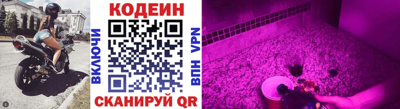 Codein Purple Drank  Советск 