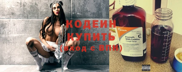 хмурый Осинники
