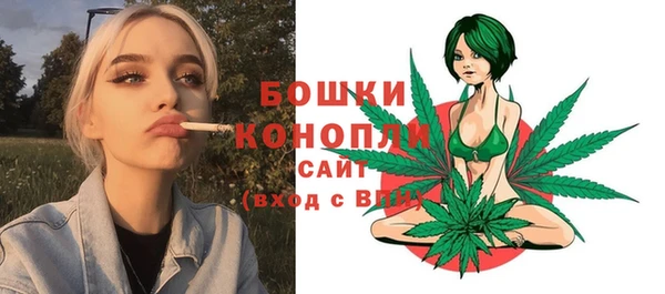 хмурый Осинники