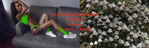 хмурый Осинники