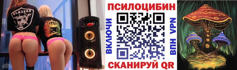 где купить наркотик  Советск  KRAKEN ссылки  Галлюциногенные грибы мицелий 